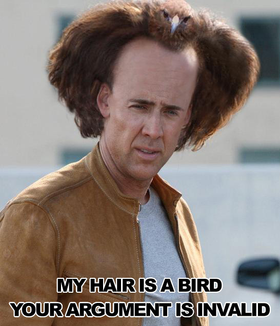 my_hair_is_a_bird
